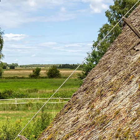 Schoene Aussichten * Wieck auf dem Darss